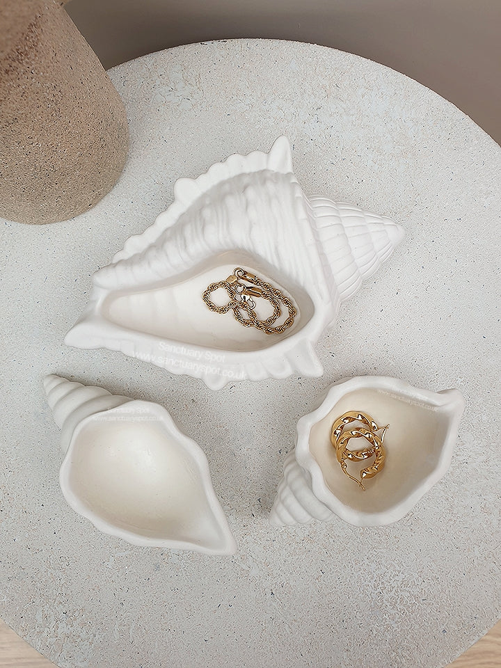 Seashell Gift Set