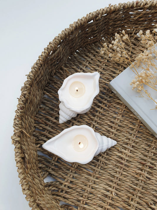 Seashell Candles
