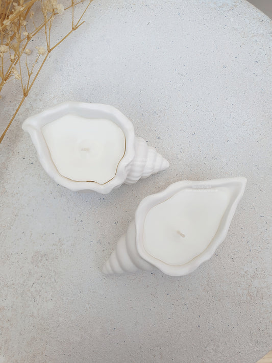 Seashell Candles