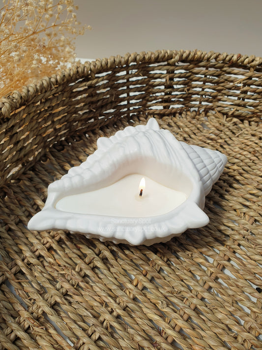 Large Seashell Candle