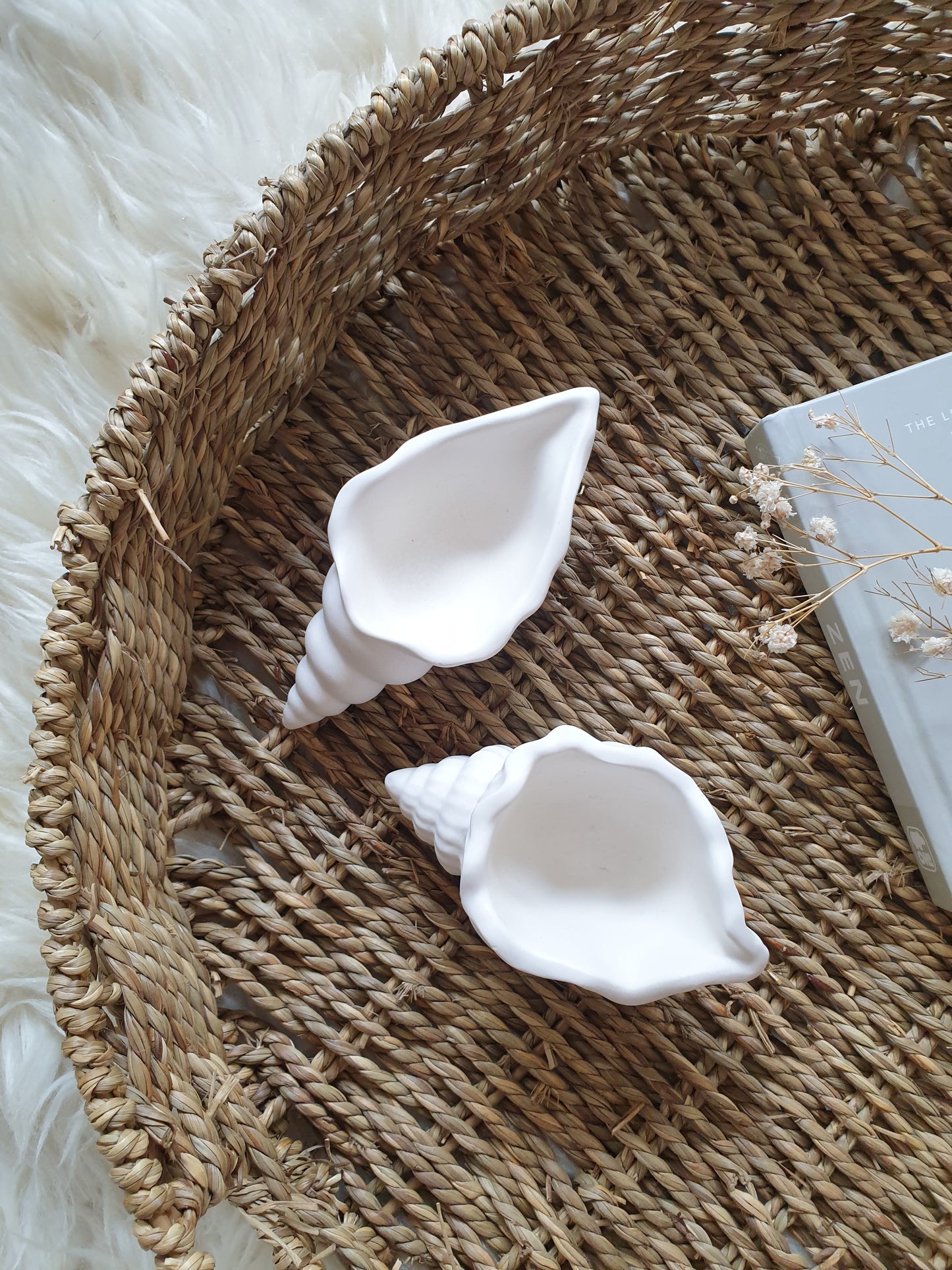 Seashell trinket dishes