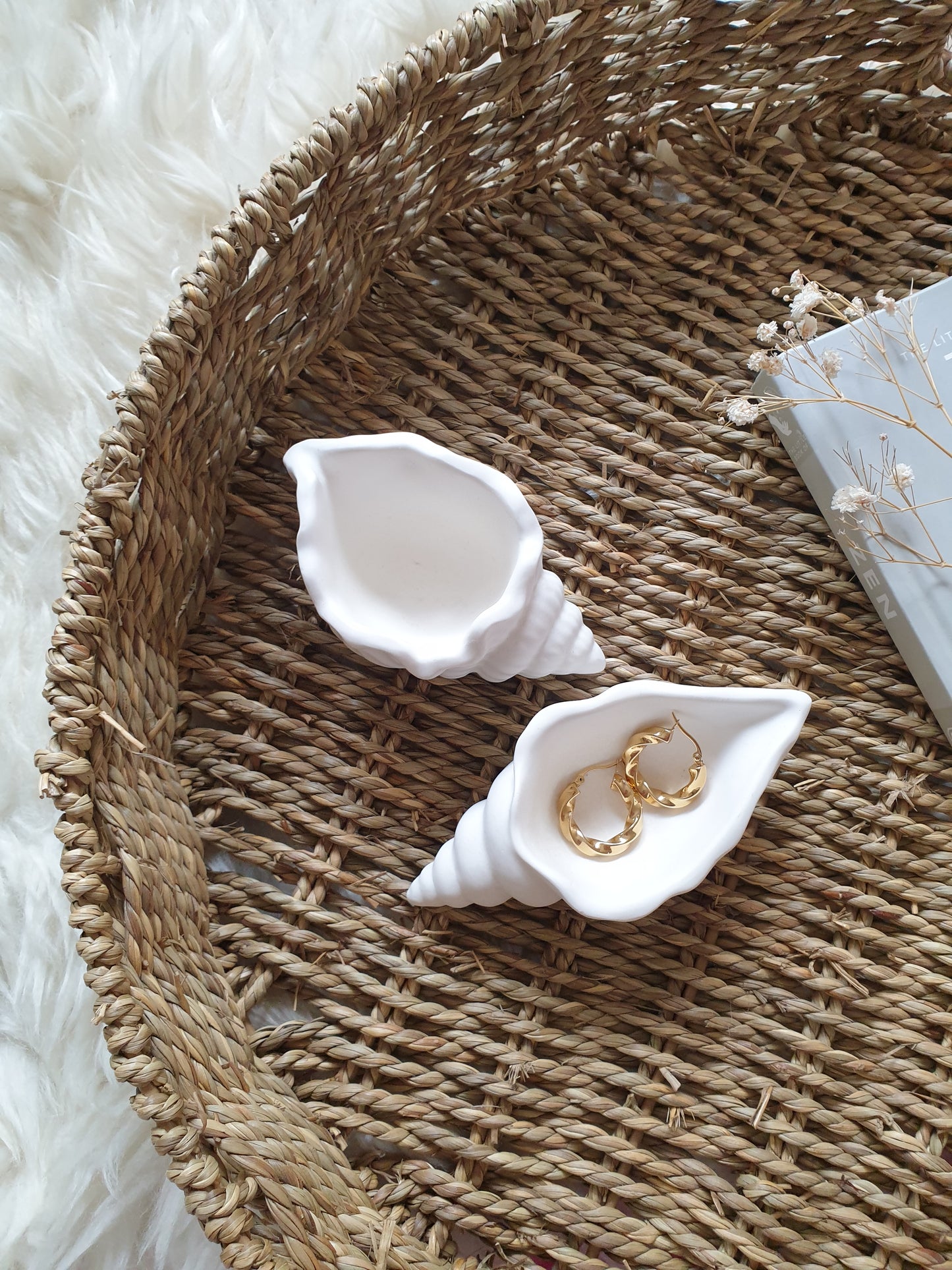 Seashell trinket dishes