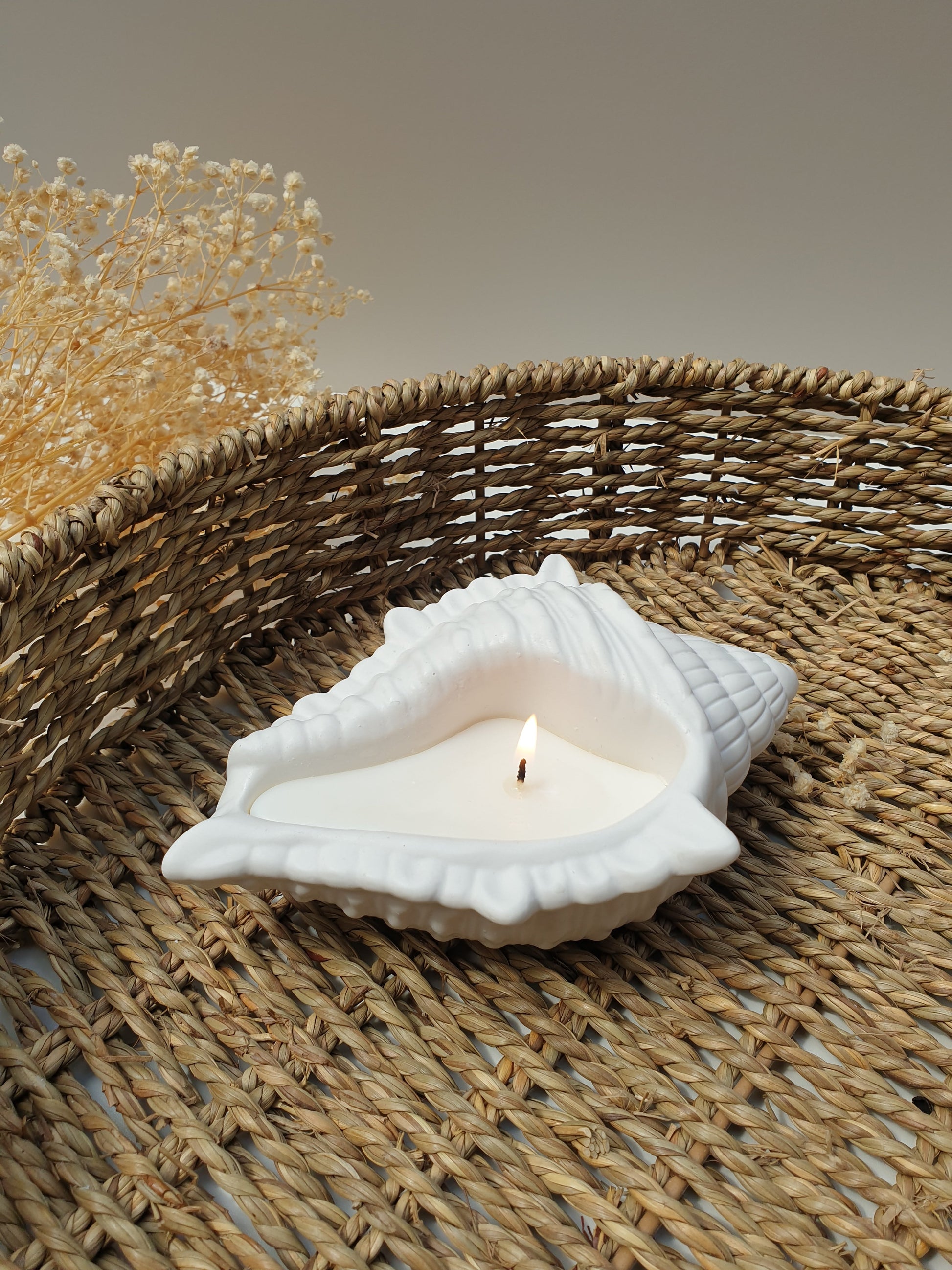 Seashell Gift Set – Sanctuary Spot