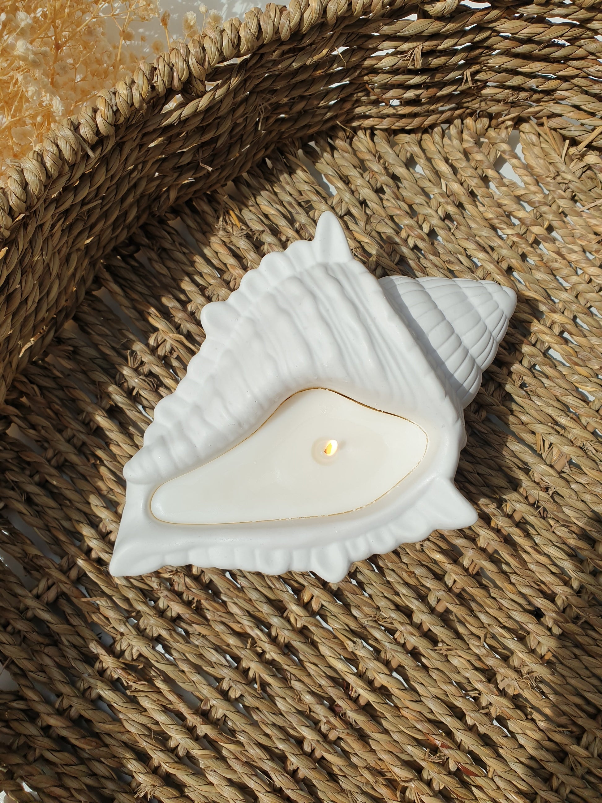 Seashell Gift Set – Sanctuary Spot
