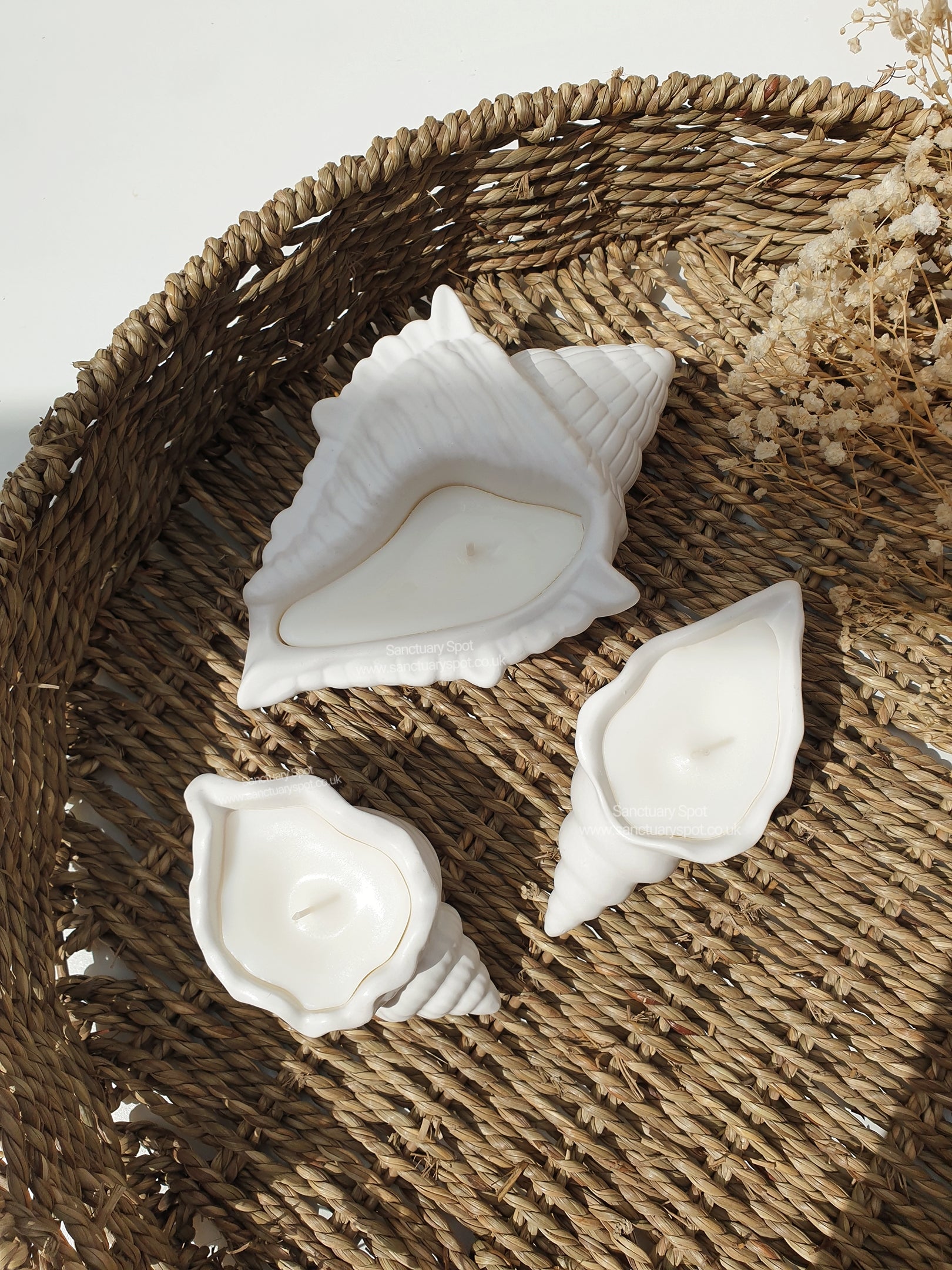 Seashell Gift Set – Sanctuary Spot