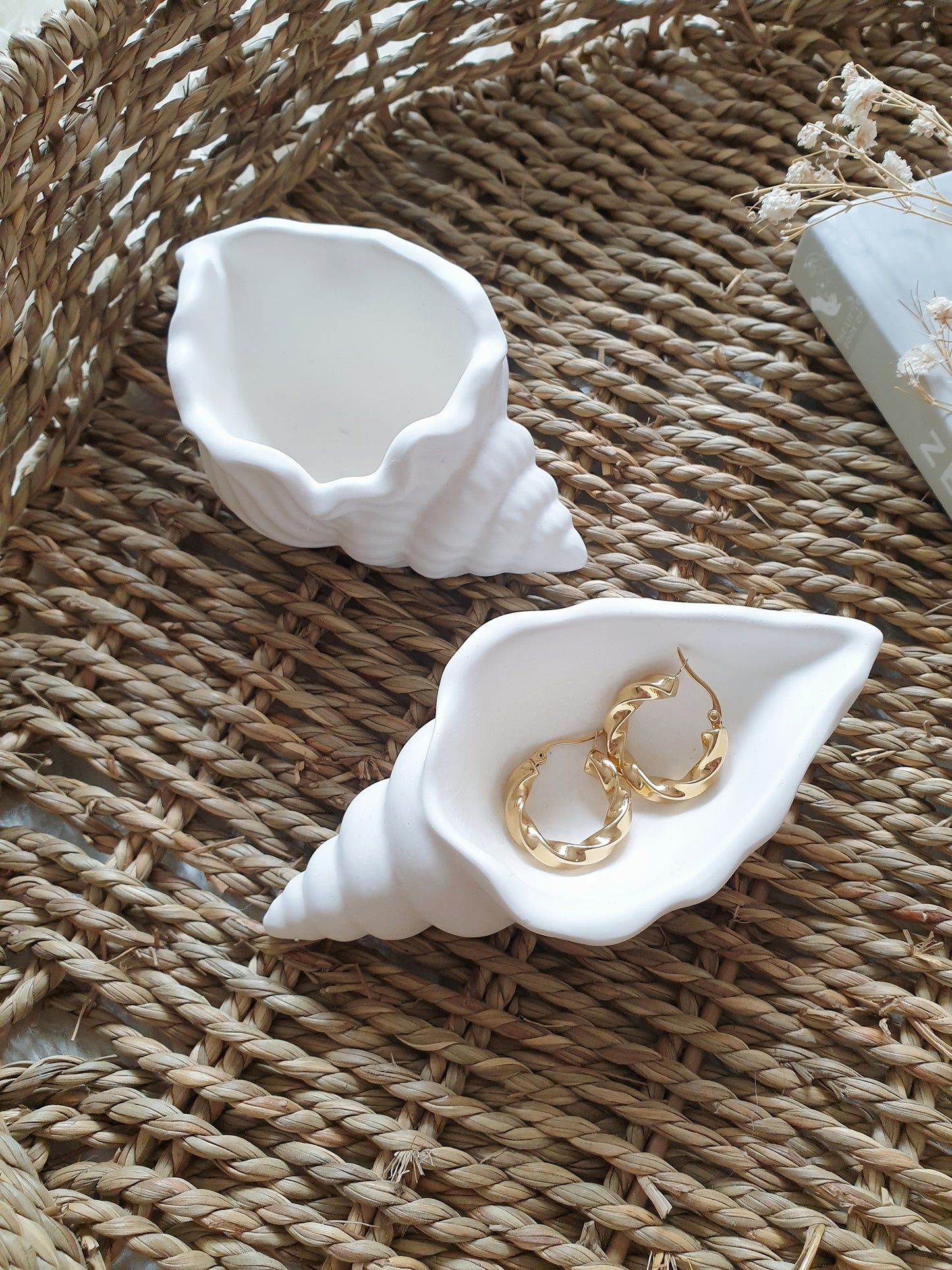 Seashell trinket dishes